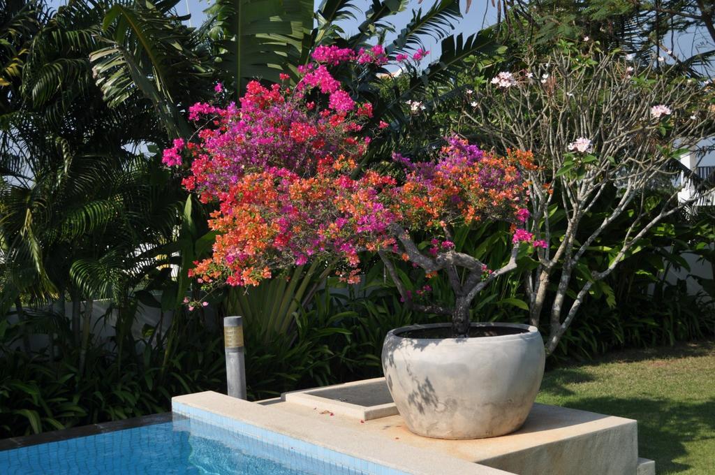 Balinese Villa With Private Pool HHQ Exterior photo